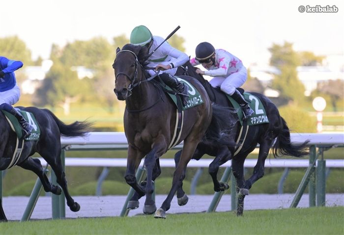 デビットバローズ