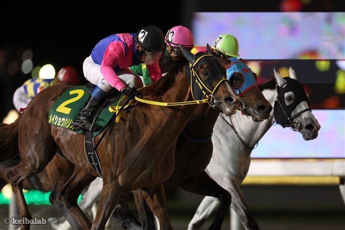 強烈な決め手を武器とするメイショウハリオ