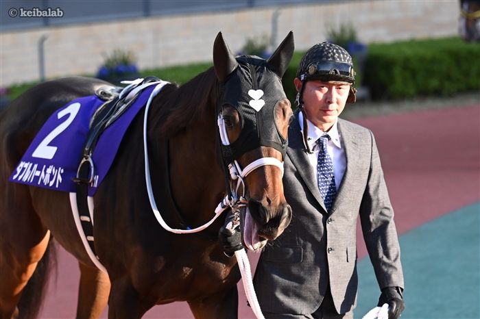 ダブルハートボンド