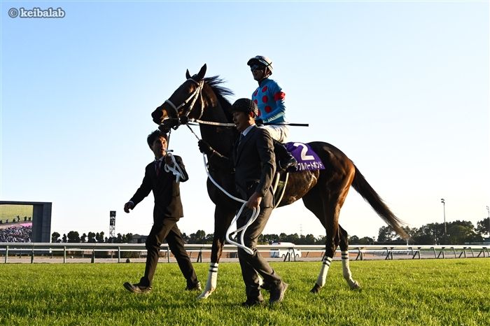 ダブルハートボンド