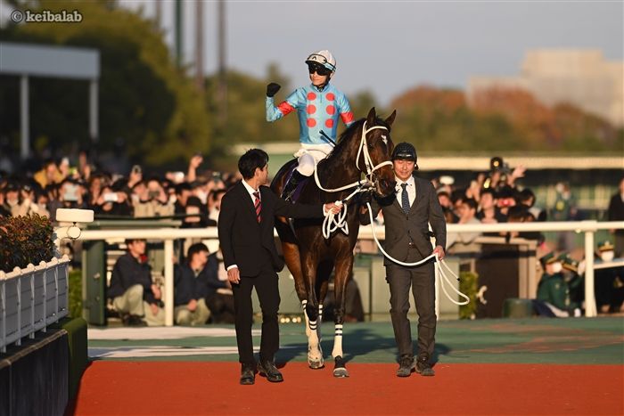 ダブルハートボンド