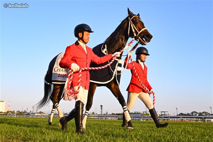 ダブルハートボンド