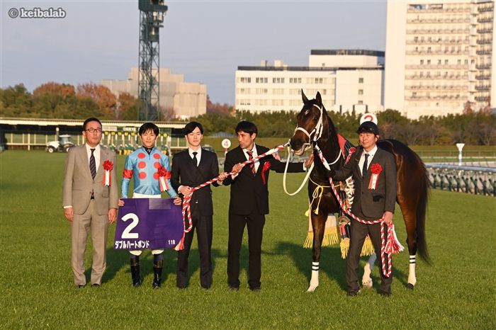 ダブルハートボンド