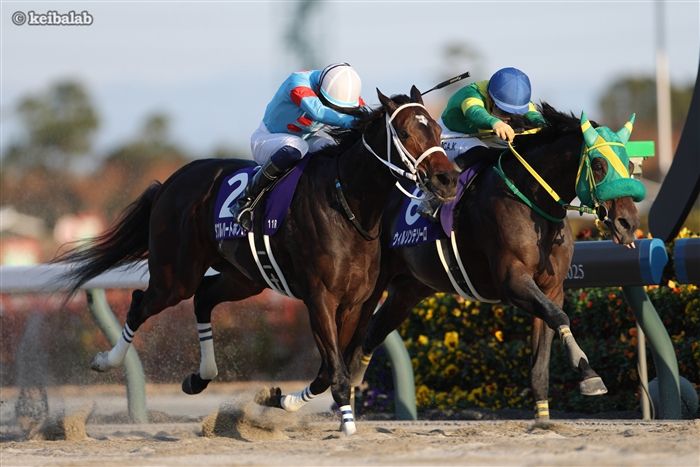 ダブルハートボンド