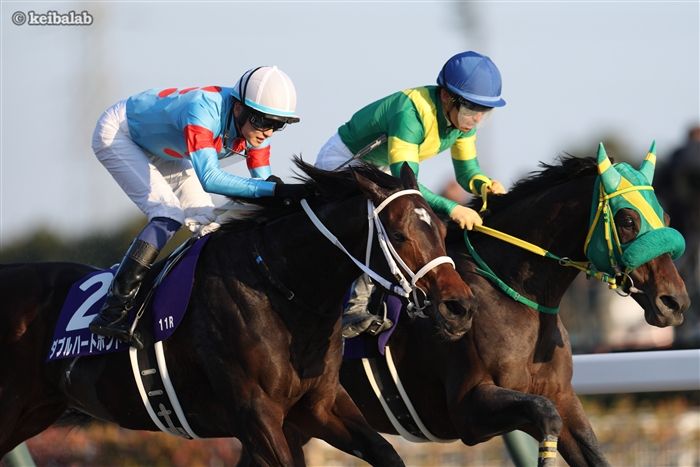 ダブルハートボンド