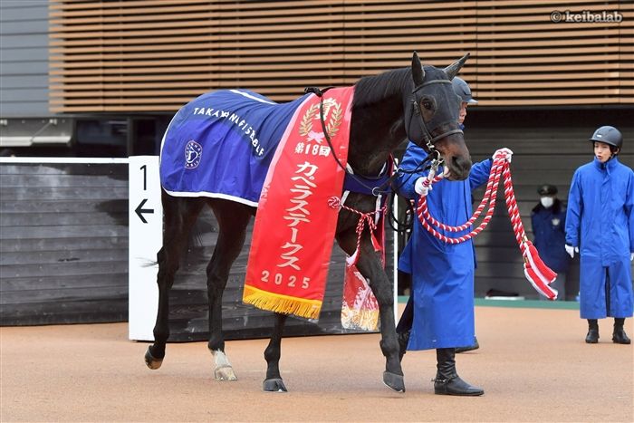 テーオーエルビス