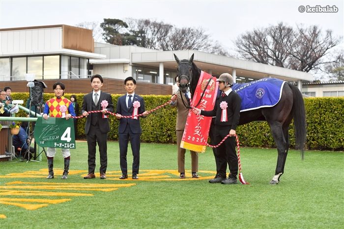 テーオーエルビス