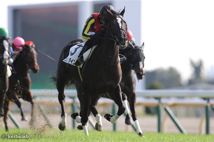 桜花賞と好相性の池添騎手が騎乗するソングライン