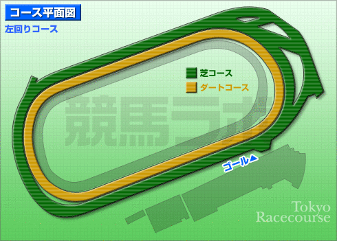 サン ダウン 競馬 場 ダウン 場 サン 競馬
